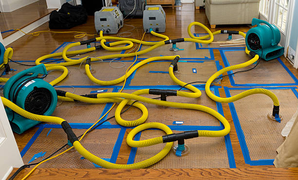 Professional Water Damage Restoration technician working in Randolph, NH